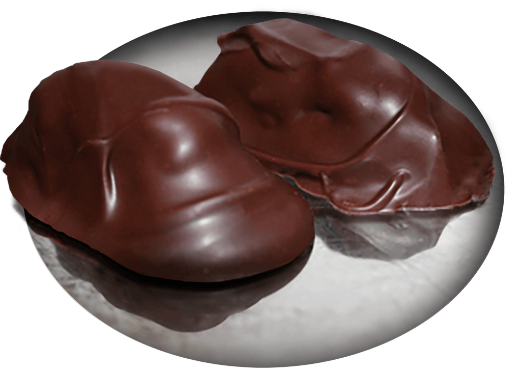 Chocolate Covered Everything — Lexigrahams - Dark chocolate middled with organic peanut butter covered graham cracker. Shipping, delivery, and pick up. Place your order!