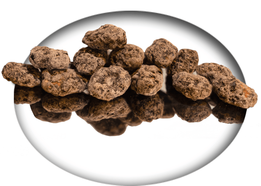 Chocolate Covered Everything — dusty A's - Organic raw almonds covered and dusted in dark chocolate. Shipping, delivery, and pick up. Place your order! 