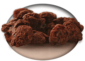 Chocolate Covered Everything - Bria berries - Dark chocolate covered organic apple juice infused cranberries – no sugar added.... Shipping, delivery, and pick up. Place your order!