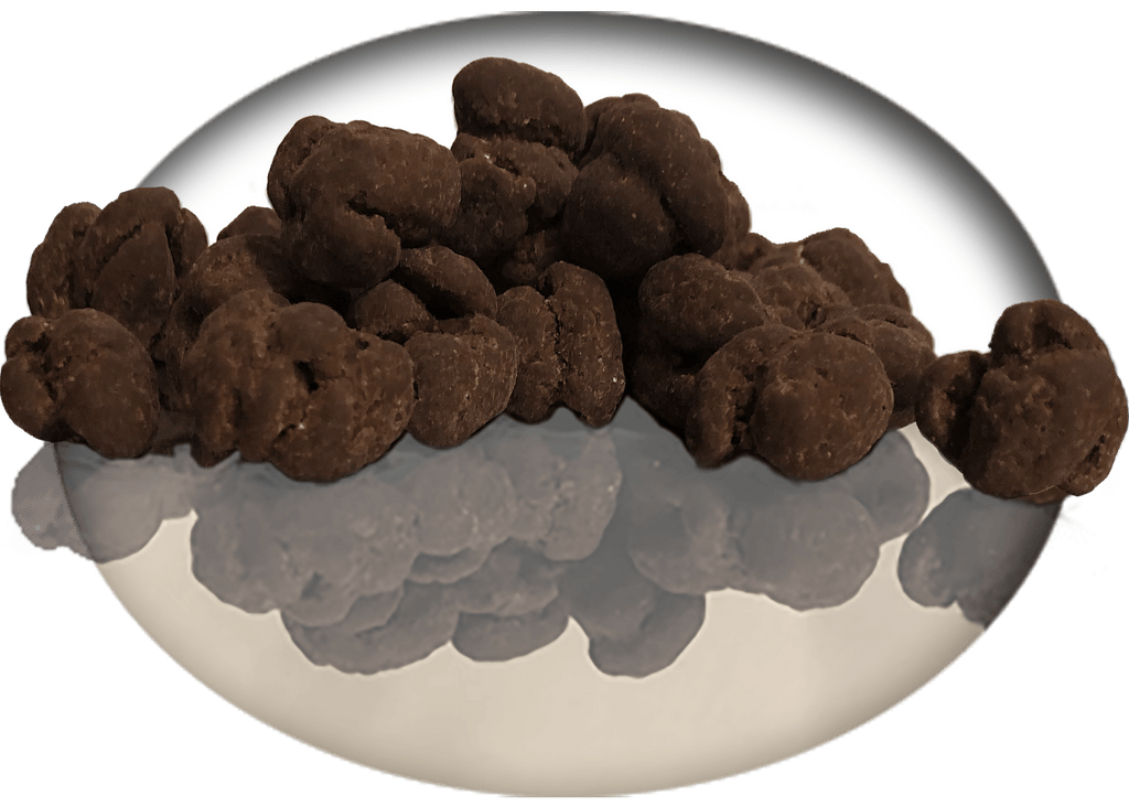 Chocolate Covered Everything — Charlies - Dark chocolate covered slightly salted organic peanuts. Shipping, delivery, and pick up. Place your order!