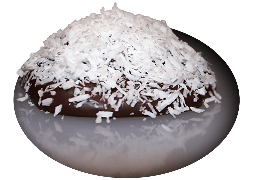 Chocolate Covered Everything — Choconuts - Dark chocolate covered organic crunchy peanut butter with organic unsweetened coconut (inside and out). Shipping, delivery, and pick up. Place your order! 